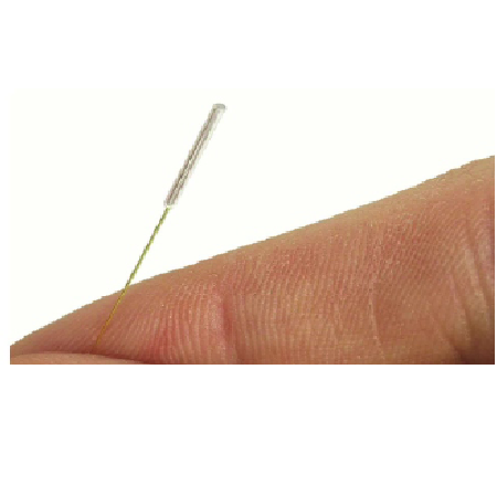 大发welcome(官网)首页登录入口