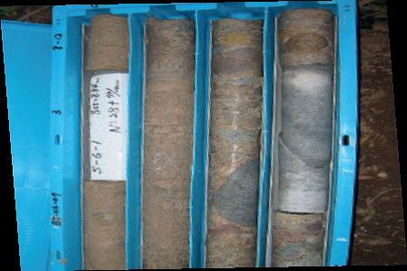 大发welcome(官网)首页登录入口