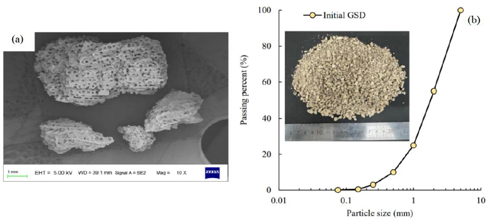 大发welcome(官网)首页登录入口