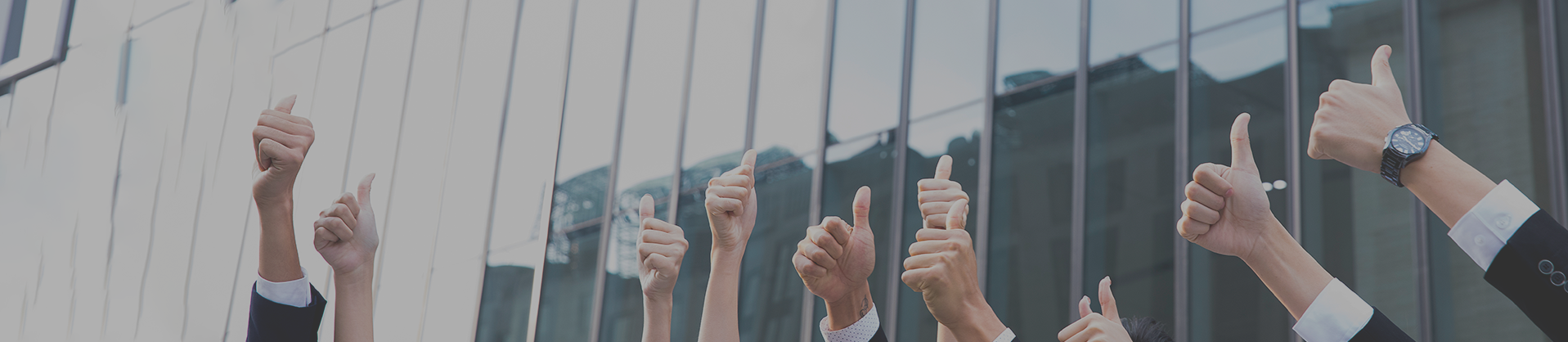 大发welcome(官网)首页登录入口