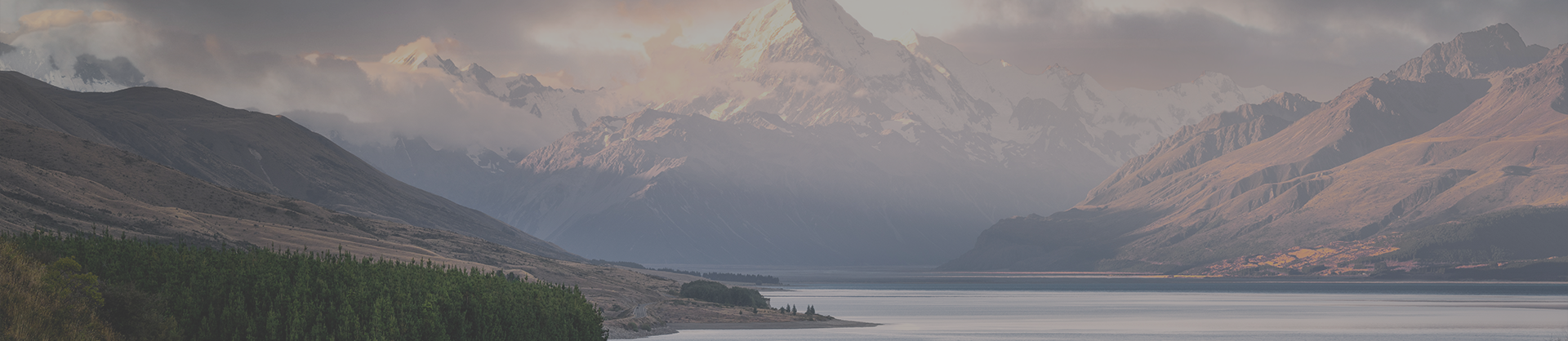 大发welcome(官网)首页登录入口