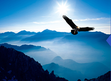 大发welcome(官网)首页登录入口