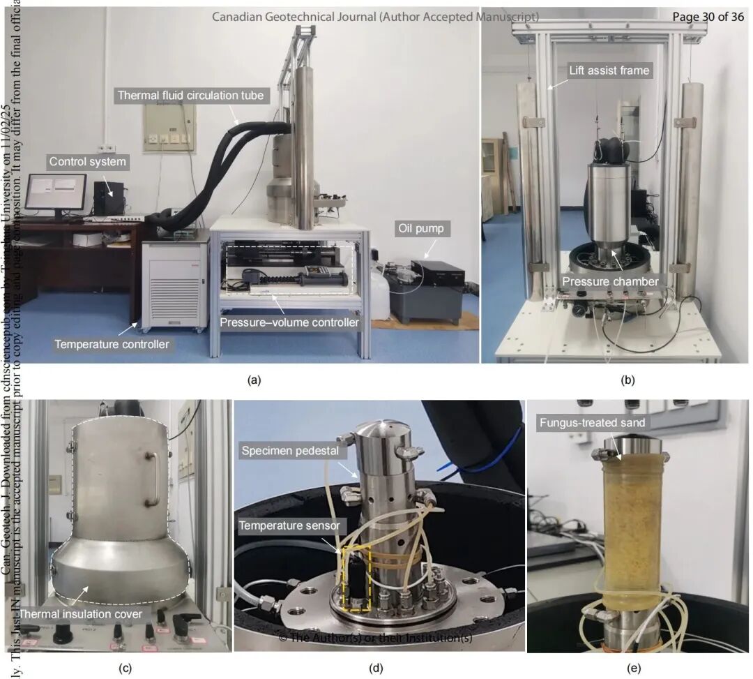 大发welcome(官网)首页登录入口