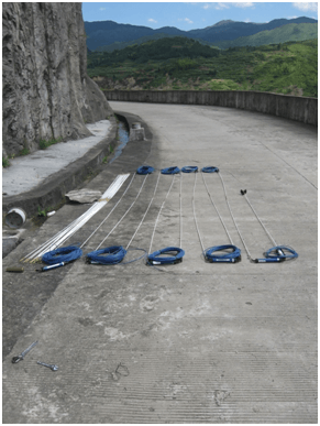 大发welcome(官网)首页登录入口