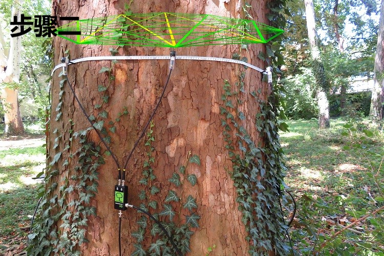 大发welcome(官网)首页登录入口